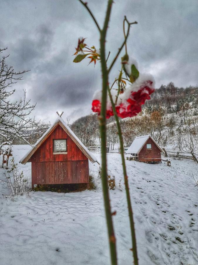 Log Cabin Uvac Nova Varoš المظهر الخارجي الصورة