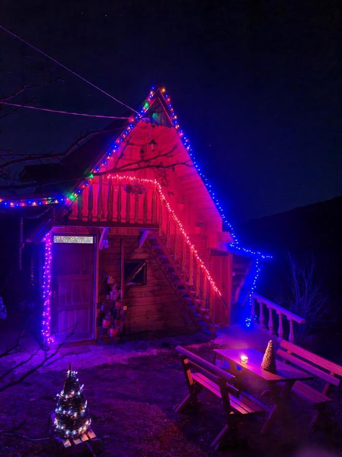 Log Cabin Uvac Nova Varoš المظهر الخارجي الصورة