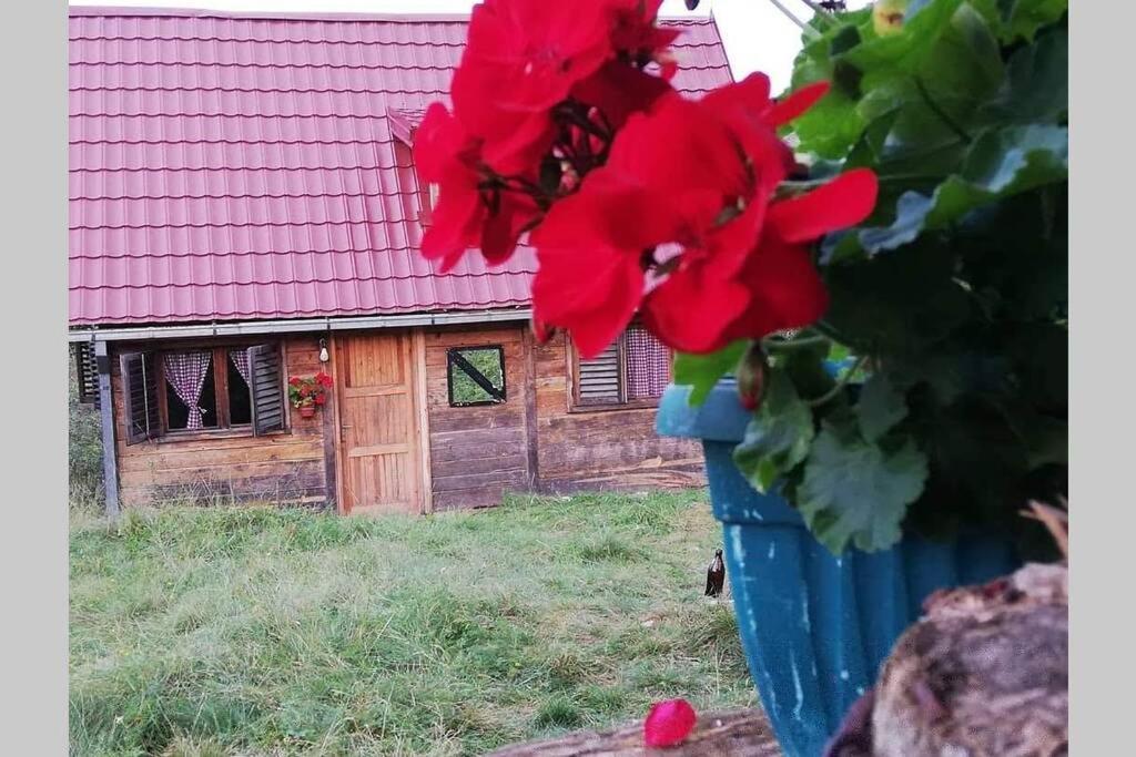 Log Cabin Uvac Nova Varoš المظهر الخارجي الصورة