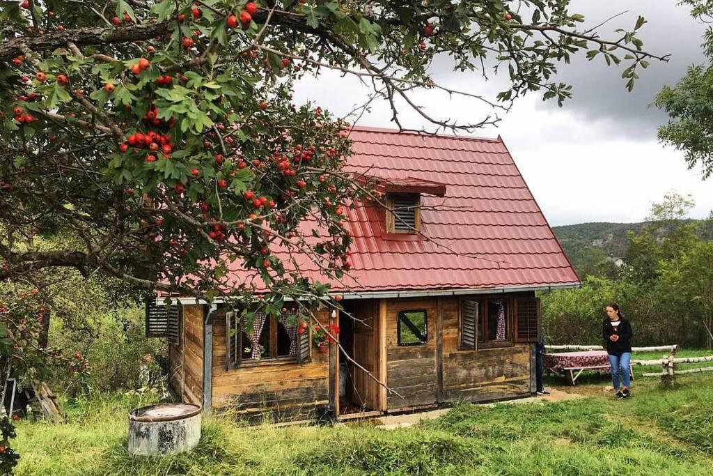 Log Cabin Uvac Nova Varoš المظهر الخارجي الصورة